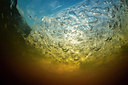 BUITEN BEELD Foto: 384340