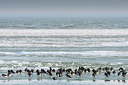 BUITEN BEELD Foto: 384520