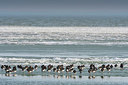 BUITEN BEELD Foto: 384523