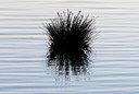 BUITEN BEELD Foto: 384604