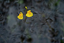 BUITEN BEELD Foto: 384688