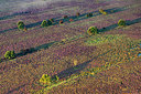 BUITEN BEELD Foto: 384734
