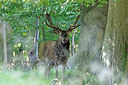 BUITEN BEELD Foto: 384798