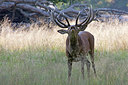 BUITEN BEELD Foto: 384800