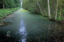 BUITEN BEELD Foto: 384866