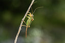 BUITEN BEELD Foto: 384963
