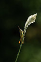 BUITEN BEELD Foto: 384984