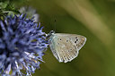 BUITEN BEELD Foto: 384991