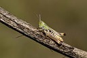 BUITEN BEELD Foto: 385005