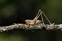 BUITEN BEELD Foto: 385008
