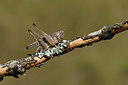 BUITEN BEELD Foto: 385010