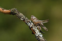 BUITEN BEELD Foto: 385011