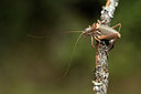 BUITEN BEELD Foto: 385014