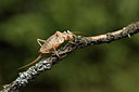BUITEN BEELD Foto: 385016