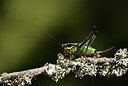 BUITEN BEELD Foto: 385031