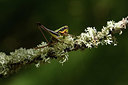 BUITEN BEELD Foto: 385033