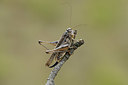 BUITEN BEELD Foto: 385044