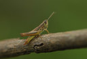 BUITEN BEELD Foto: 385064