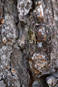 BUITEN BEELD Foto: 385115