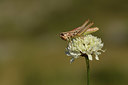 BUITEN BEELD Foto: 385159