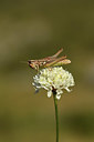 BUITEN BEELD Foto: 385160
