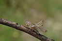 BUITEN BEELD Foto: 385187