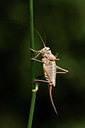 BUITEN BEELD Foto: 385200