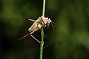 BUITEN BEELD Foto: 385201