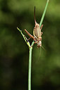 BUITEN BEELD Foto: 385202