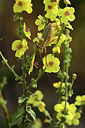 BUITEN BEELD Foto: 385230