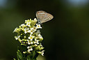 BUITEN BEELD Foto: 385249
