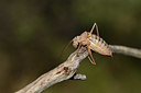 BUITEN BEELD Foto: 385255