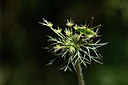 BUITEN BEELD Foto: 385258