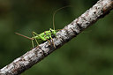 BUITEN BEELD Foto: 385268