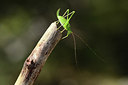 BUITEN BEELD Foto: 385275