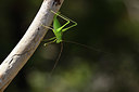 BUITEN BEELD Foto: 385277