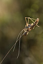 BUITEN BEELD Foto: 385312