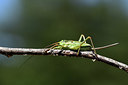 BUITEN BEELD Foto: 385333