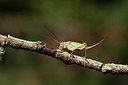 BUITEN BEELD Foto: 385359