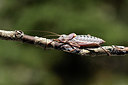 BUITEN BEELD Foto: 385371