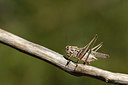 BUITEN BEELD Foto: 385389