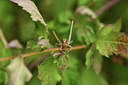 BUITEN BEELD Foto: 385414