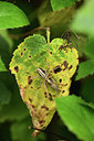 BUITEN BEELD Foto: 385415