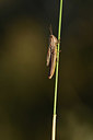 BUITEN BEELD Foto: 385430
