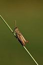 BUITEN BEELD Foto: 385431