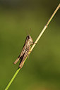 BUITEN BEELD Foto: 385432