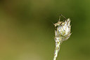 BUITEN BEELD Foto: 385549