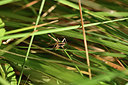 BUITEN BEELD Foto: 385556