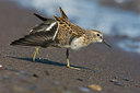 BUITEN BEELD Foto: 38083