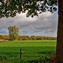 BUITEN BEELD Foto: 38118